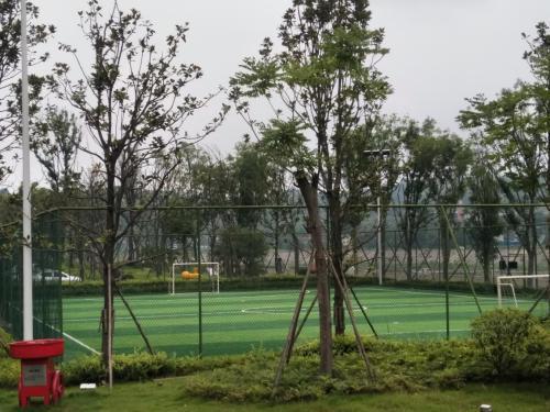 完善民众处事设施 助推文明都市建设