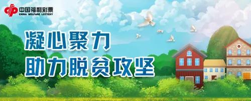 福利：凝心聚力，助力脱贫攻坚