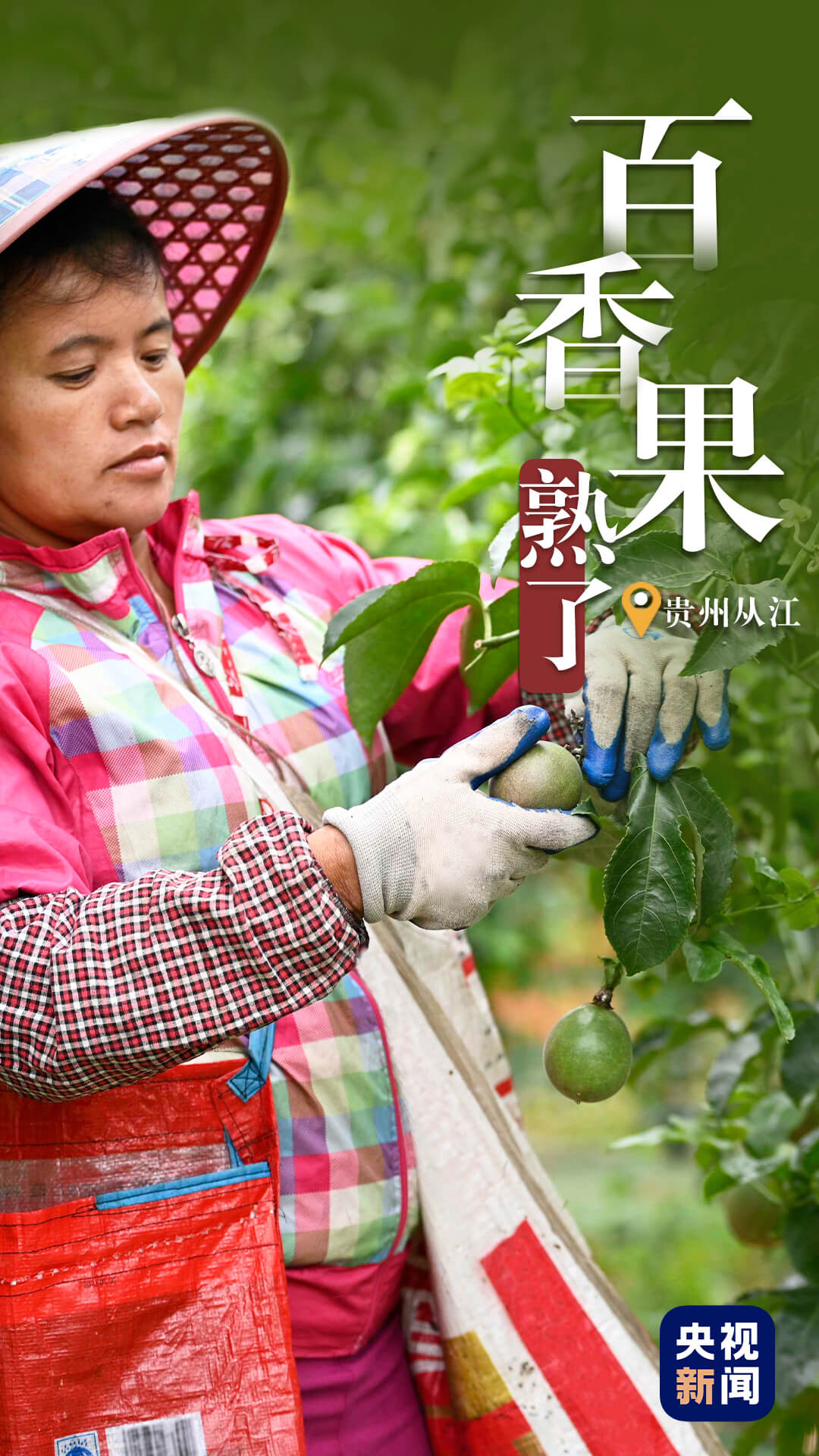 比过山车还刺激!“超级铁路”带你穿越隧道 看山川“险”景